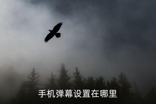 手机弹幕设置在哪里
