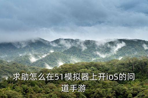 求助怎么在51模拟器上开ioS的问道手游