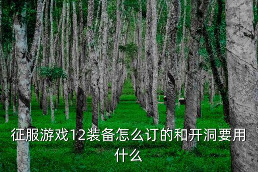 征服游戏12装备怎么订的和开洞要用什么