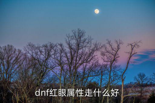 dnf起源红眼走什么属性，dnf红眼走什么属性