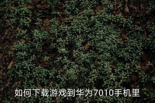 2k20中文版手游怎么下华为版，如何下载游戏到华为7010手机里