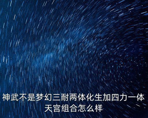 神武不是梦幻三耐两体化生加四力一体天宫组合怎么样