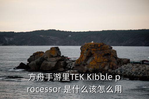 方舟手游里TEK Kibble processor 是什么该怎么用