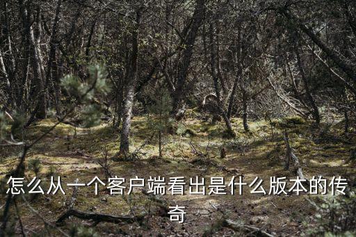 怎么从一个客户端看出是什么版本的传奇