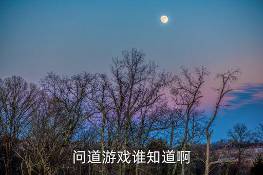 问道游戏谁知道啊