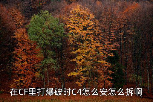 在CF里打爆破时C4怎么安怎么拆啊