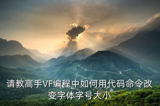 请教高手VF编程中如何用代码命令改变字体字号大小