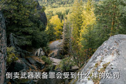 倒卖武器装备罪会受到什么样的处罚