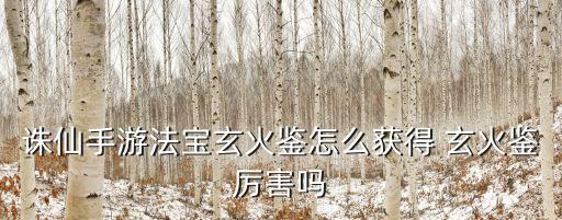 诛仙手游法宝玄火鉴怎么获得 玄火鉴厉害吗