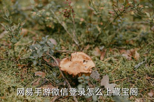 网易手游微信登录怎么上藏宝阁