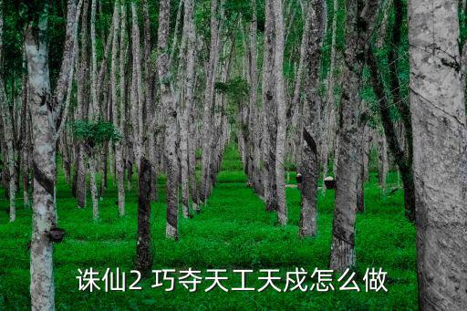 诛仙2 巧夺天工天戍怎么做
