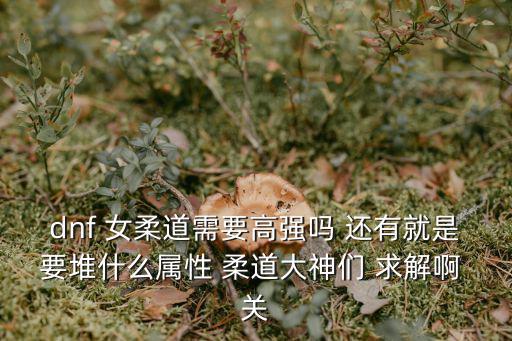 dnf 女柔道需要高强吗 还有就是要堆什么属性 柔道大神们 求解啊 关