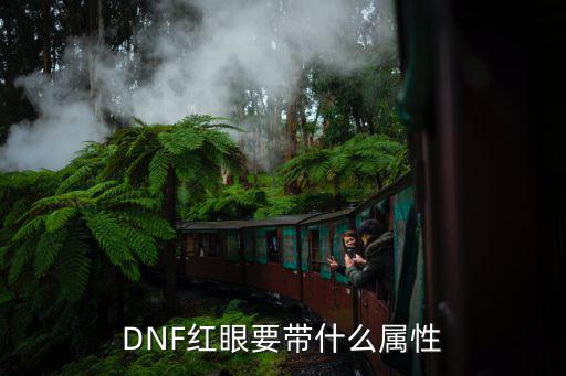 dnf红眼属性攻击选什么，dnf现版本红眼堆什么属强