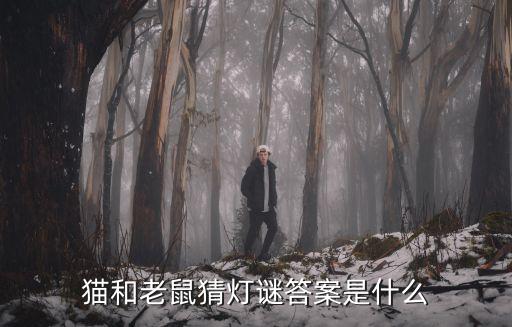 猫和老鼠猜灯谜答案是什么