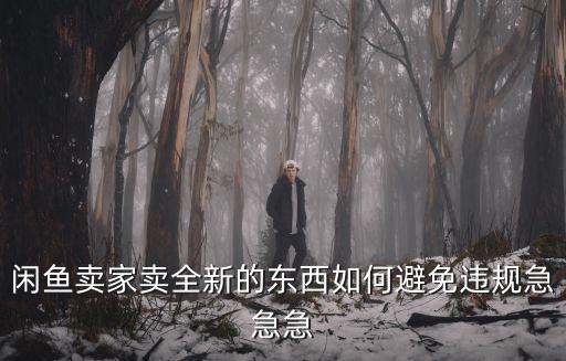 闲鱼卖家卖全新的东西如何避免违规急急急