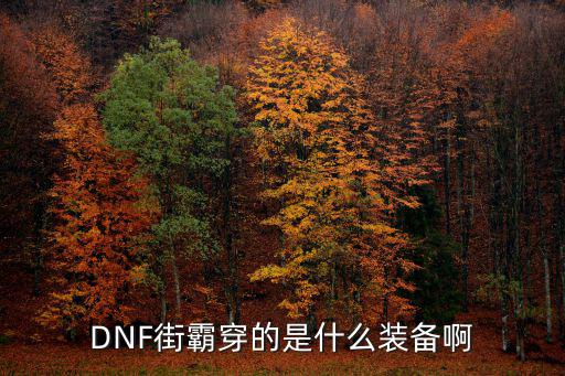 DNF街霸穿的是什么装备啊