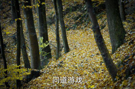问道手游神魂武魂怎么搭配，问道游戏