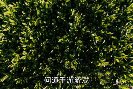 问道手游游戏