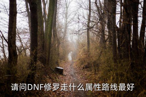 请问DNF修罗走什么属性路线最好