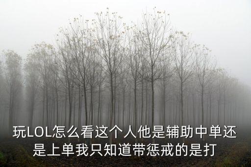 lol手游辅助怎么看谁玩的好，lol辅助到底是谁好啊 求大神