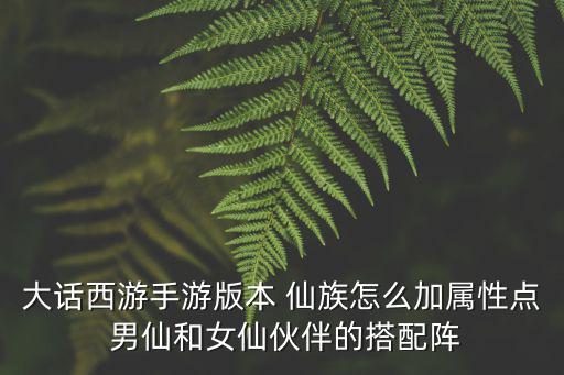 大话西游手游版本 仙族怎么加属性点 男仙和女仙伙伴的搭配阵