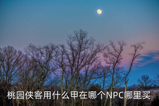 攻城掠地手游桃园的护盾怎么得，桃园侠客用什么甲在哪个NPC哪里买