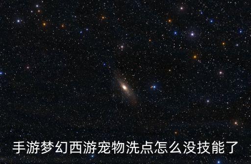 手游梦幻西游宠物洗点怎么没技能了