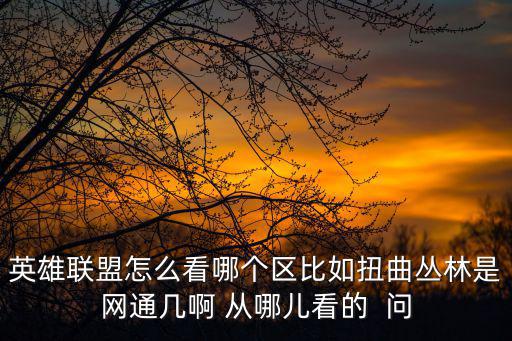 英雄联盟手游怎么显示区第几，怎样知道自己在英雄联盟几区 急