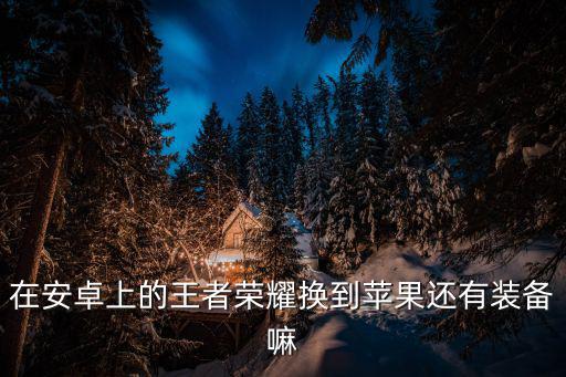 在安卓上的王者荣耀换到苹果还有装备嘛
