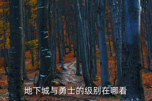 地下城与勇士手游怎么看级别，地下城与勇士的级别在哪看