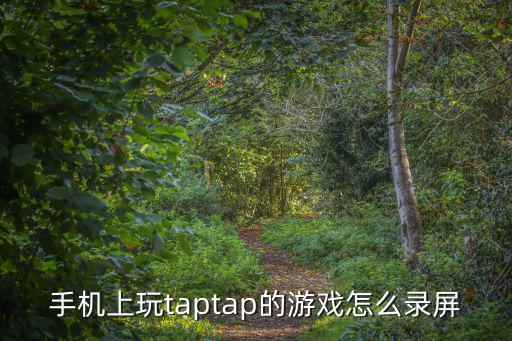 手机上玩taptap的游戏怎么录屏