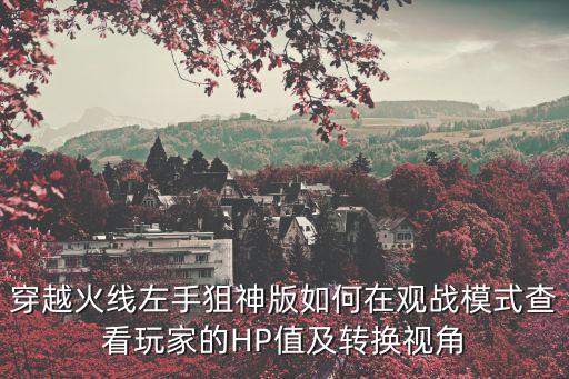 穿越火线左手狙神版如何在观战模式查看玩家的HP值及转换视角
