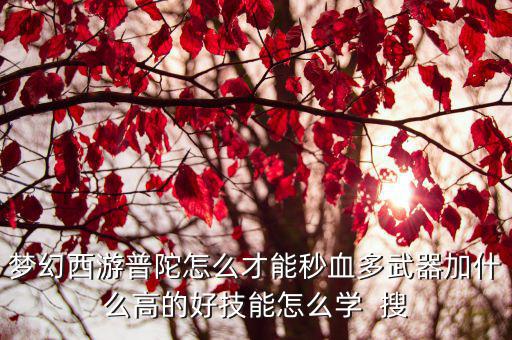 梦幻西游普陀怎么才能秒血多武器加什么高的好技能怎么学  搜