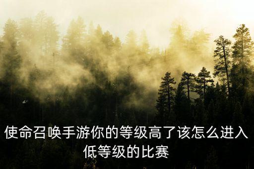 使命召唤手游你的等级高了该怎么进入低等级的比赛