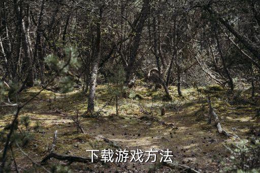 下载游戏方法