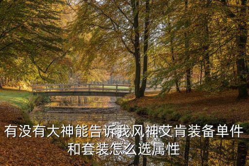 有没有大神能告诉我风神艾肯装备单件和套装怎么选属性