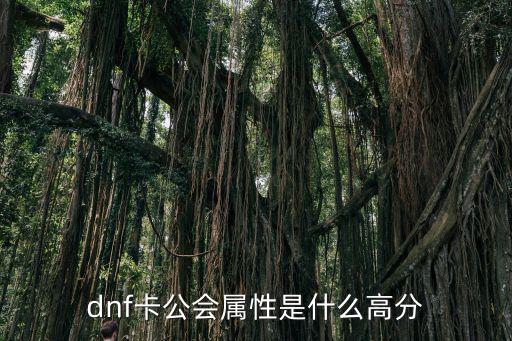 dnf卡公会属性是什么高分