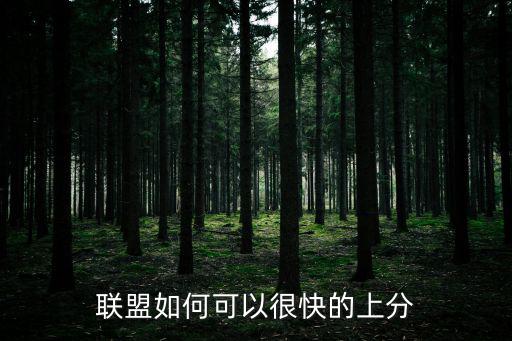 联盟如何可以很快的上分