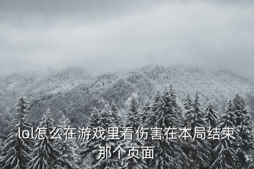 lol怎么在游戏里看伤害在本局结束那个页面