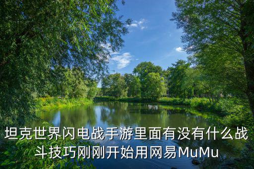 坦克闪击战手游怎么设置，手机坦克世界闪击战简历里面的密码怎么设置 不管怎么设都是安全性过