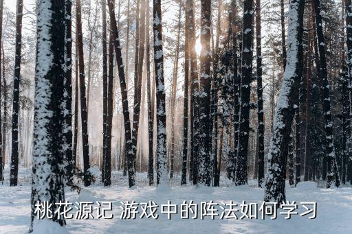 桃花源记手游里心魂战场怎么玩，桃花源记 游戏中的阵法如何学习
