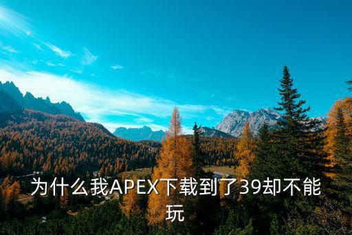 为什么我APEX下载到了39却不能玩