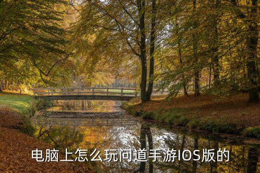 电脑上怎么玩问道手游IOS版的