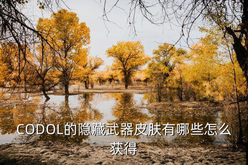 CODOL的隐藏武器皮肤有哪些怎么获得