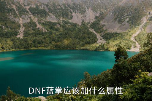 DNF蓝拳应该加什么属性