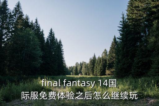 尼尔手游国际服怎么玩，大家好请问如何现在国际服全球服谢谢你们