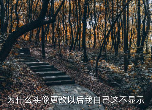 为什么头像更改以后我自己这不显示