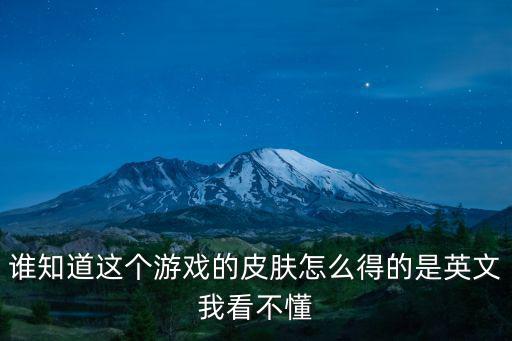 谁知道这个游戏的皮肤怎么得的是英文我看不懂
