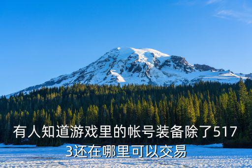 有人知道游戏里的帐号装备除了5173还在哪里可以交易
