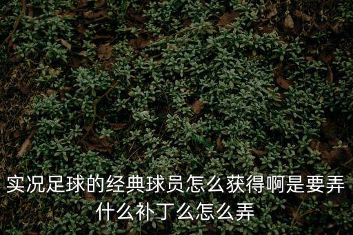 实况足球的经典球员怎么获得啊是要弄什么补丁么怎么弄